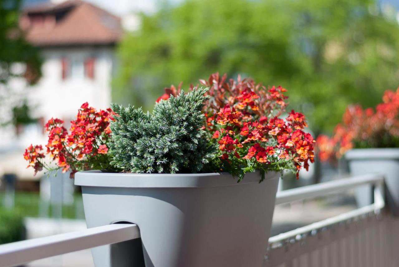 Gasthof Hanni Merano Ngoại thất bức ảnh